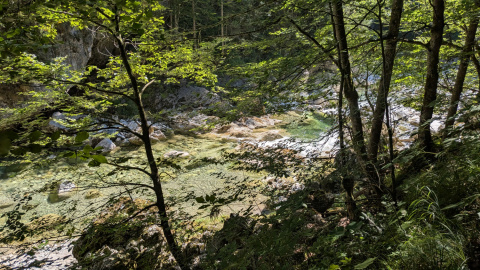 PXL_20260814_084116682