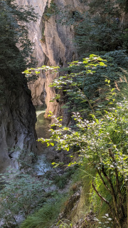 PXL_20260814_084951832