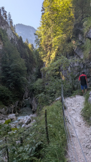 PXL_20260814_085531302