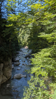 PXL_20260814_101207700