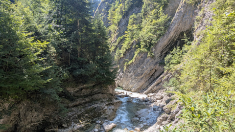 PXL_20260814_102339456