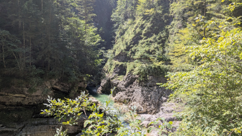PXL_20260814_104702443