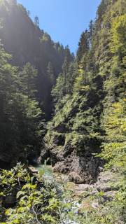 PXL_20260814_104705059