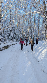 PXL_20251128_083733210