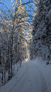 PXL_20251128_084334746-Kopie