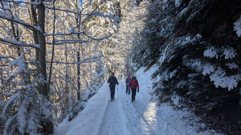 PXL_20251128_084940353