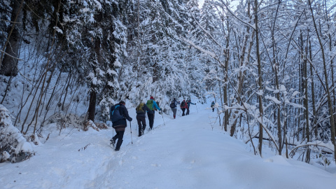 PXL_20251128_091057845-Kopie