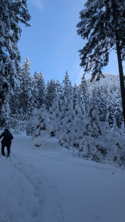 PXL_20251128_091354627-Kopie