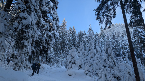 PXL_20251128_091402980-Kopie