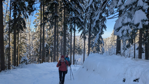 PXL_20251128_091517226-Kopie