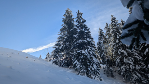 PXL_20251128_095943429-Kopie