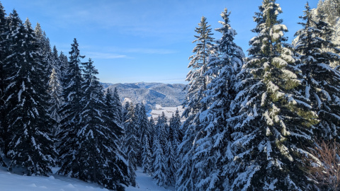 PXL_20251128_100245830-Kopie