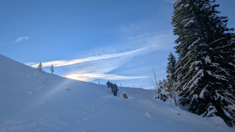 PXL_20251128_100252613-Kopie