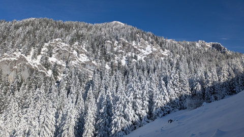 PXL_20251128_100550059-Kopie