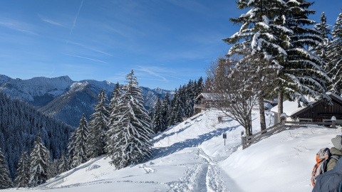 PXL_20251128_101414723