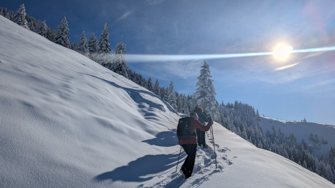 PXL_20251128_103504864-Kopie