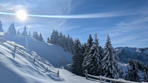 PXL_20251128_110833901-Kopie