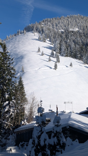 PXL_20251128_125137253-Kopie