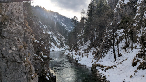 PXL_20260206_085323278