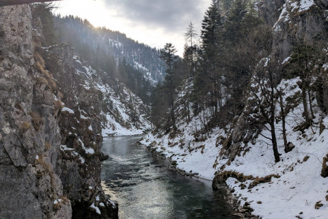 Klobenstein-Ottenalm-Walchsee 06.02.2026