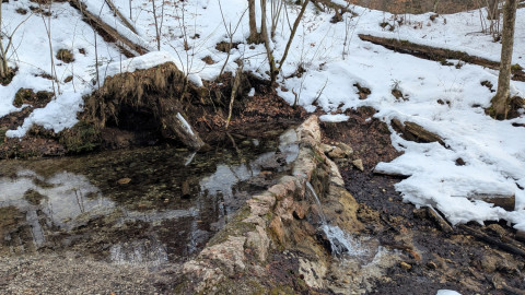 PXL_20260206_091626381