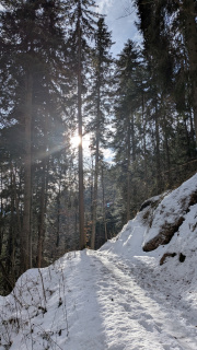 PXL_20260206_092245279