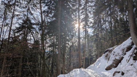 PXL_20260206_092252773