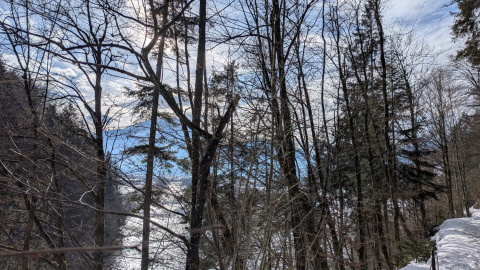 PXL_20260206_092932576