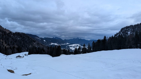 PXL_20260206_110325192