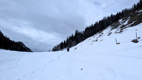 PXL_20260206_110329611