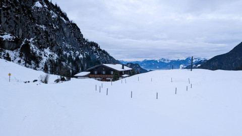 PXL_20260206_111618812