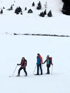 PXL_20240210_093613542