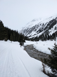 PXL_20240210_102115940