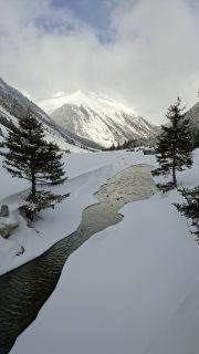 IMG-20260215-WA0041-scaled