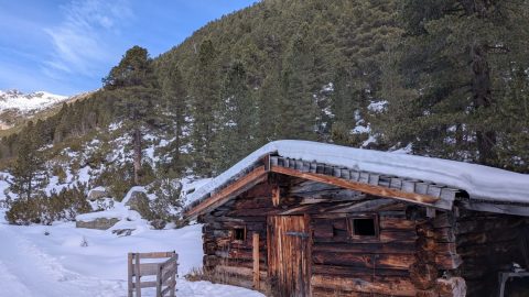 PXL_20260212_110709504-scaled