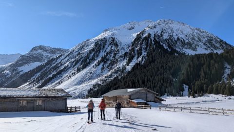 PXL_20260213_090233160-scaled