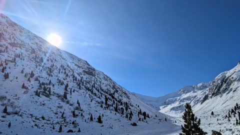 PXL_20260213_103256905-scaled