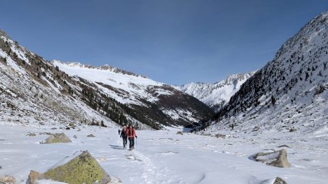 PXL_20260213_111222629-scaled