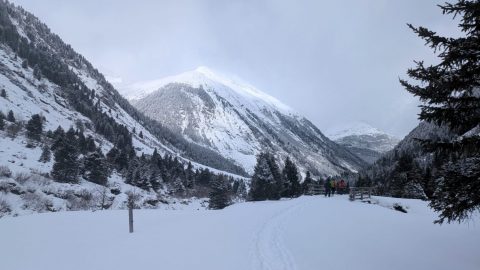 PXL_20260215_092929230-scaled