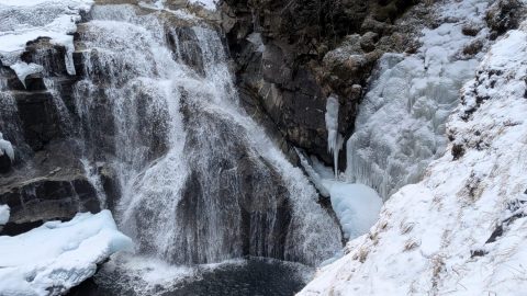 PXL_20260215_115128618-scaled