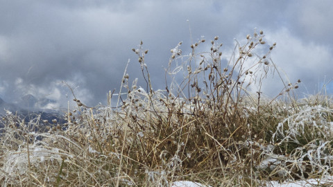 2025-10-02-AV-Laempersberg-43