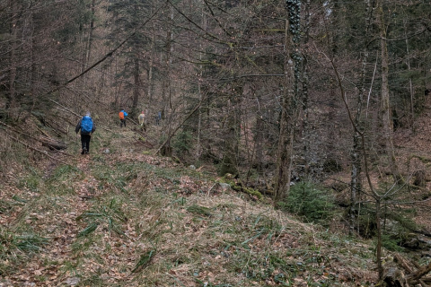 Lederstube-Doaglalm am 10.04.2026