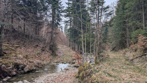 PXL_20260410_082922683