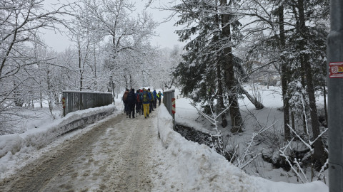 2026-01-29-AV-Lochner-Horn-1