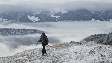 2026-01-29-AV-Lochner-Horn-11