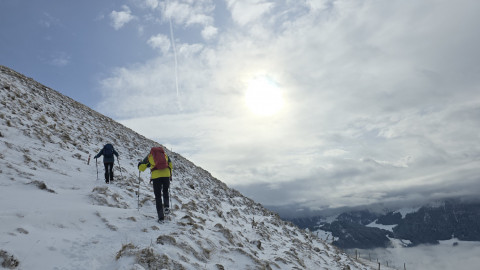 2026-01-29-AV-Lochner-Horn-13