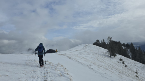 2026-01-29-AV-Lochner-Horn-16