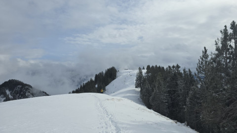 2026-01-29-AV-Lochner-Horn-17