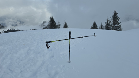 2026-01-29-AV-Lochner-Horn-21