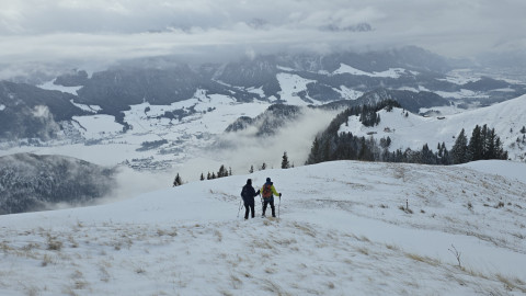 2026-01-29-AV-Lochner-Horn-25